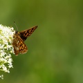 20180425-160929-0311-HQ.jpg
