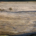 Paysage Ecosse.jpg