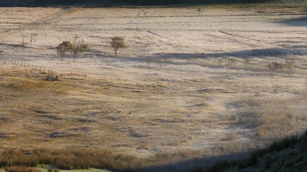 Paysage Ecosse