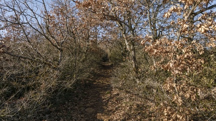 Sentier sur la crête à côté de Theizé