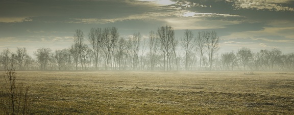 Crépuscule du matin