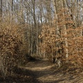 Landschap-022.jpg