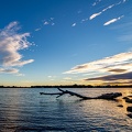 27102020-181625-Camargue-1024px.jpg