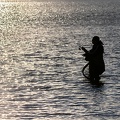 27102020-175534-Camargue-1024px.jpg