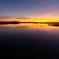 29102020-190124-Camargue-1024px.jpg