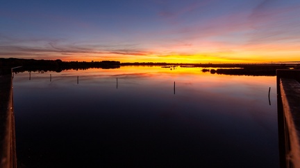 29102020-190124-Camargue-1024px