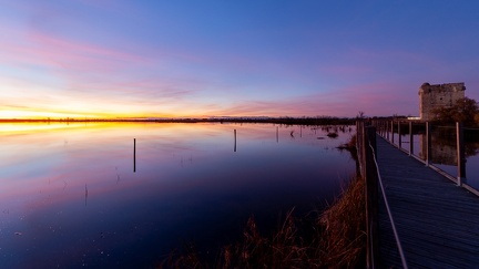29102020-190657-Camargue-1024px