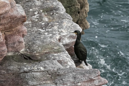 Bretagne16