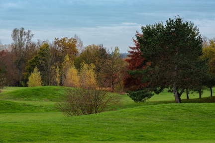 golf 