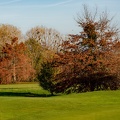 golf_.JPG