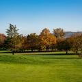 golf_-2.JPG