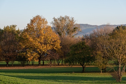 Golf de Lucenay, Rhône