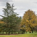 Couleurs d'automne-1.jpg