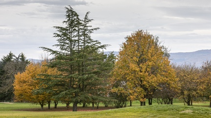 Couleurs d'automne, Anse