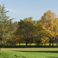 Couleurs d'automne-2.jpg