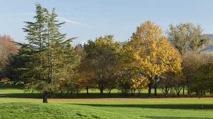 Couleurs d'automne, Anse