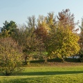 Couleurs d'automne-3.jpg