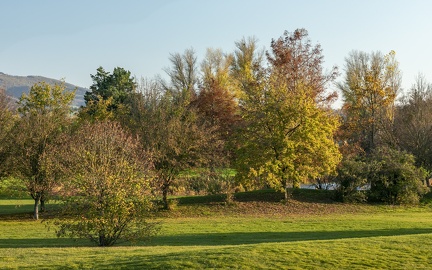 Couleurs d'automne, Anse
