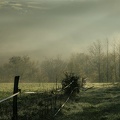 Couleurs d'automne-1.jpg