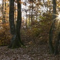 Couleurs d'automne-2.jpg