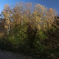 Couleurs d'automne-3.jpg