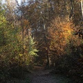 Couleurs d'automne-4.jpg