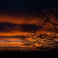 Lever de soleil jardin-3.JPG