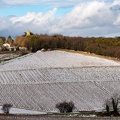 Vignes, Marcy-2.JPG