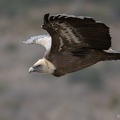 20210130-113204-0311-2048px.jpg