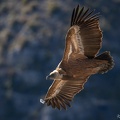 20210131-131840-0926-2048px.jpg