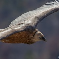 20210131-132510-0948-2048px.jpg