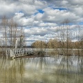 Saône débordée-1.jpg