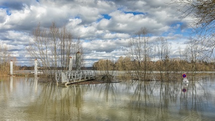 Saône débordée-1