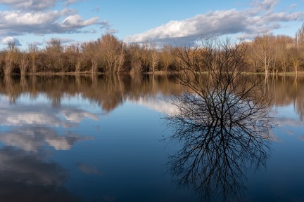 Etang plan d'eau du Colombier, Anse