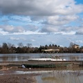 Innondation Saone Colombier-7.JPG