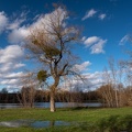 Etang  Colombier.JPG