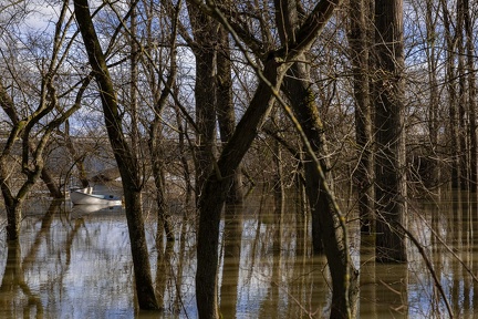 Innondation de la Saone, Anse