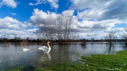 Saône en crue-02-2048px