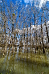 Saône en crue-03-2048px