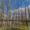 Saône en crue-03-2048px.jpg