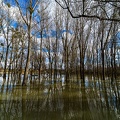 Saône en crue-04-2048px.jpg