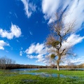 Saône en crue-07-2048px.jpg