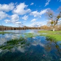 Saône en crue-08-2048px.jpg