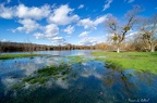 Saône en crue-08-2048px