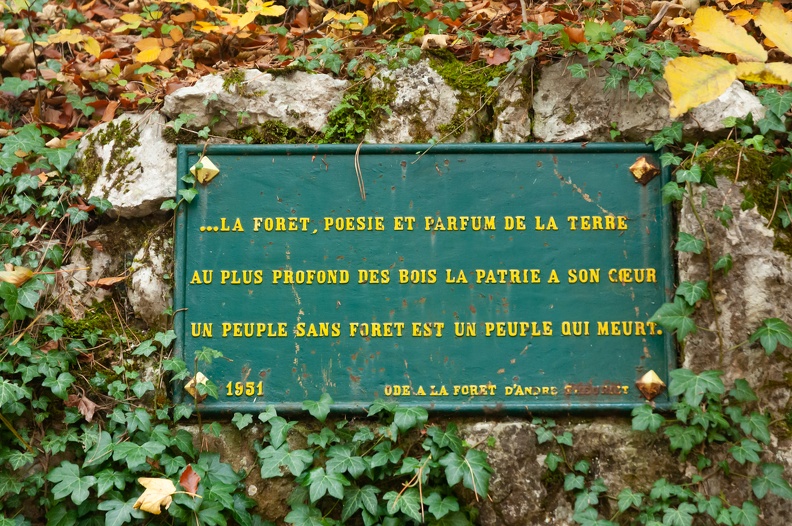 forêt Annecy automne-2.JPG