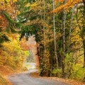 forêt Annecy automne-4.JPG