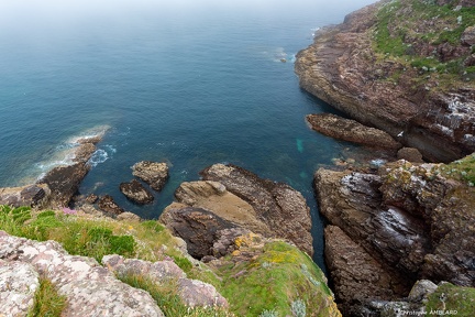 Cap Fréhel (3)
