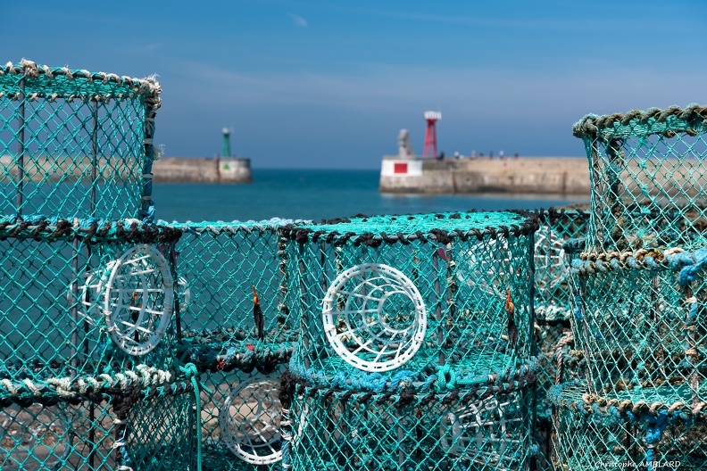 Casiers  Port en Bessin (3).JPG