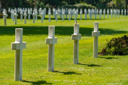 Cimetière américain (1)