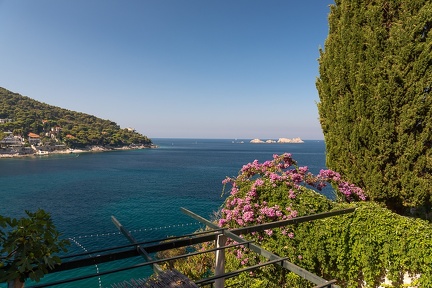 Dubrovnik, baie de Lapad (2)